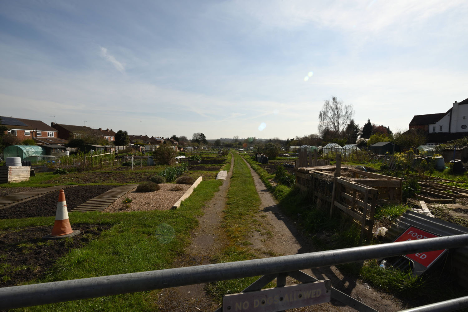 Golf Lane allotments