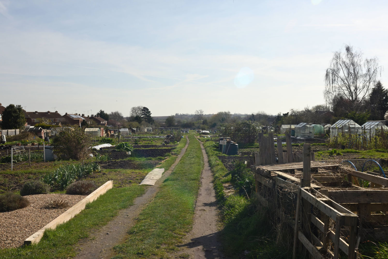 Golf Lane allotments 2