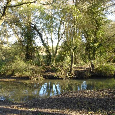 Whitnash Brook