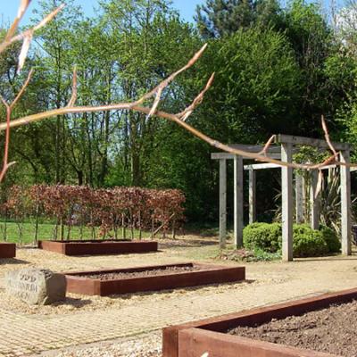 Millennium Garden